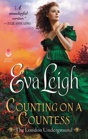 Cover of the book Counting on a Countess by Lisa Jackson
