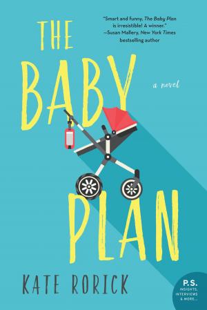 Book cover of The Baby Plan