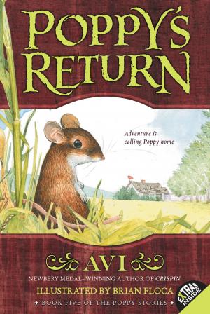 Cover of the book Poppy's Return by Boyd Ellanby
