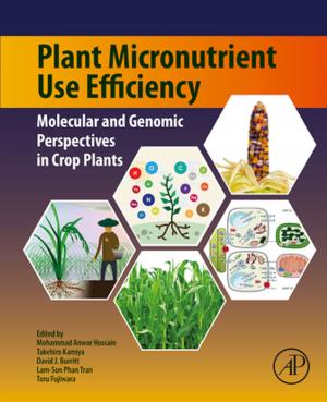 Cover of the book Plant Micronutrient Use Efficiency by Peter F Stanbury, Allan Whitaker, Stephen J Hall