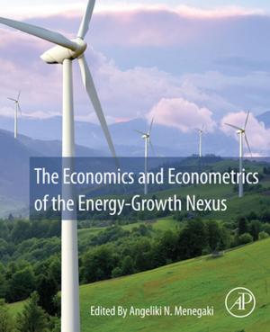 Cover of the book The Economics and Econometrics of the Energy-Growth Nexus by Pedro Ivo Moraes