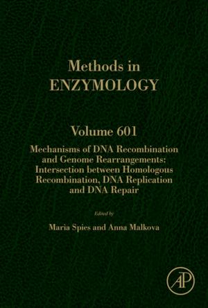 Cover of the book Mechanisms of DNA Recombination and Genome Rearrangements: Intersection Between Homologous Recombination, DNA Replication and DNA Repair by Anna Fontcuberta i Morral, Shadi A. Dayeh, Chennupati Jagadish