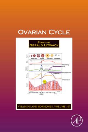 Cover of the book Ovarian Cycle by Irving P. Herman, Ph.D., Massachusetts Institute of Technology