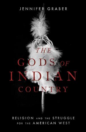 Cover of the book The Gods of Indian Country by Nicholas P. Money