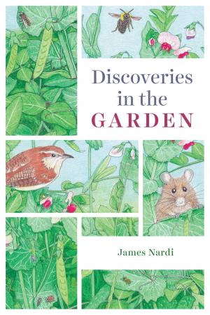 Cover of the book Discoveries in the Garden by Robert E. Park, Ernest W. Burgess