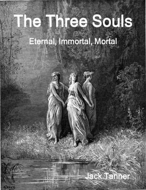 Cover of the book The Three Souls: Eternal, Immortal, Mortal by Karen Joan Kohoutek, Catherine Crowe