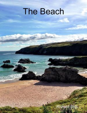 Cover of the book The Beach by Kevin Shattock