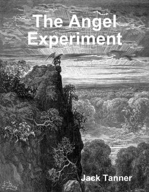Cover of the book The Angel Experiment by Christopher Walker