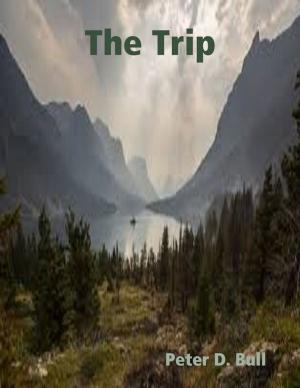 Cover of the book The Trip by Triece Bartlett