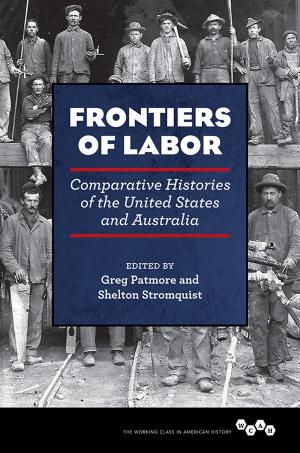 Cover of the book Frontiers of Labor by Karissa Haugeberg