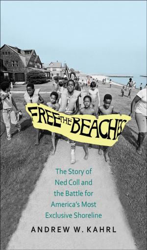 Cover of the book Free the Beaches by Jack Ogden