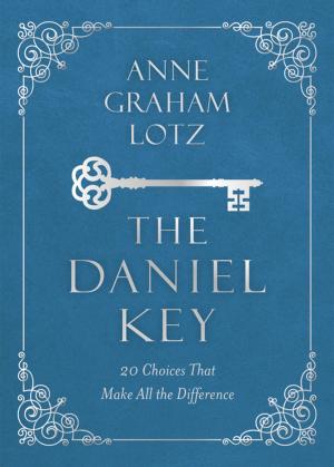 Cover of the book The Daniel Key by Rebecca Barlow Jordan