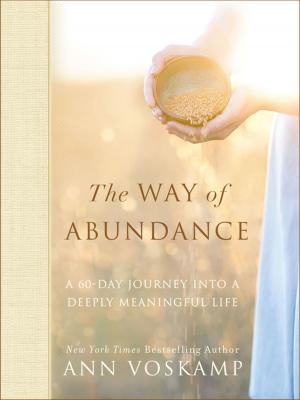 Cover of the book The Way of Abundance by Shane Claiborne