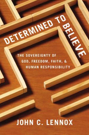 Cover of the book Determined to Believe? by John Ortberg, Kevin & Sherry Harney
