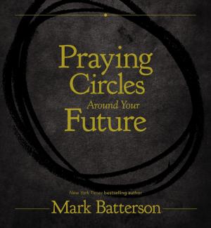 Cover of the book Praying Circles Around Your Future by Natasha House