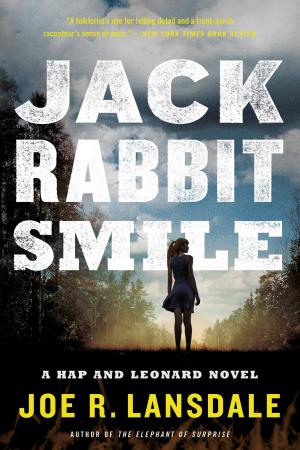 Cover of the book Jackrabbit Smile by Richard K. Bernstein