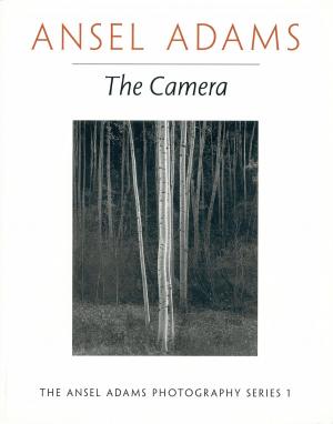Cover of the book The Camera by George P. Pelecanos
