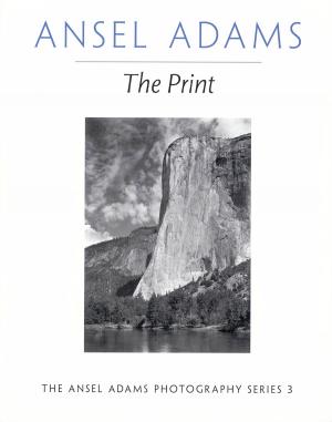 Cover of the book The Print by Gillian Kemp