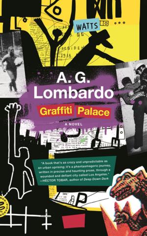 bigCover of the book Graffiti Palace by 