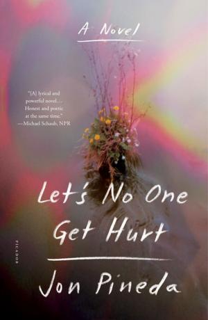 Cover of the book Let's No One Get Hurt by John Berryman