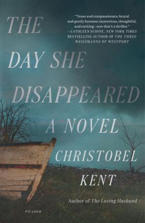 Book cover of The Day She Disappeared