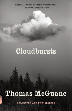 Cover of the book Cloudbursts by Kenneth Koch