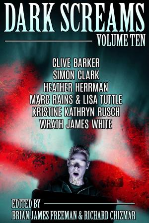 Cover of the book Dark Screams: Volume Ten by Glenn Thrush, Jonathan Martin