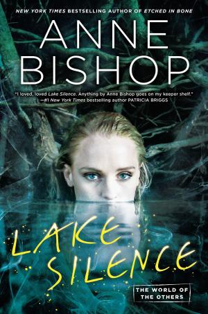 bigCover of the book Lake Silence by 