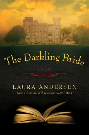Book cover of The Darkling Bride