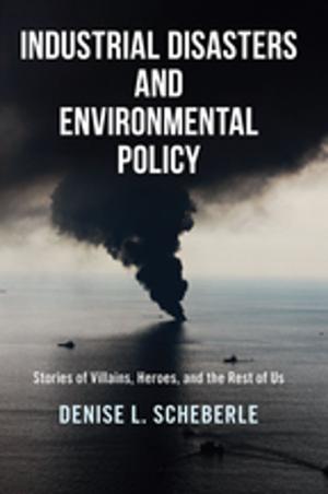 Cover of the book Industrial Disasters and Environmental Policy by 