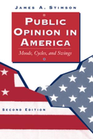 bigCover of the book Public Opinion In America by 