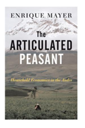 Cover of the book The Articulated Peasant by Michel Aglietta, Guo Bai