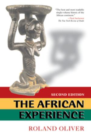 Cover of the book The African Experience by 