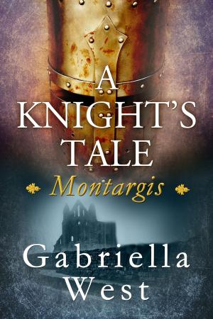 Book cover of A Knight's Tale: Montargis