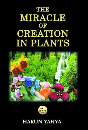 Book cover of The Miracle of Creation in Plants