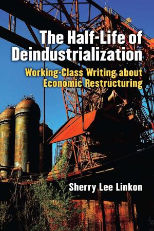 Cover of the book The Half-Life of Deindustrialization by Steven Brown