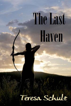 Cover of the book The Last Haven by Aaron Solomon