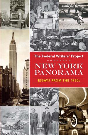 Cover of the book New York Panorama by Richard Johnsonbaugh, W.E. Pfaffenberger