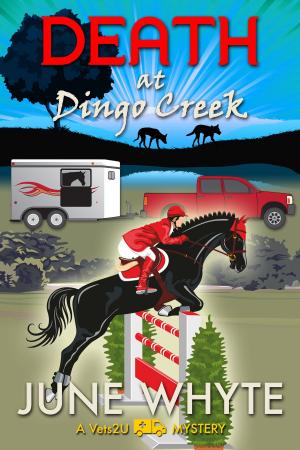 Cover of the book Death at Dingo Creek by C. A. Smith