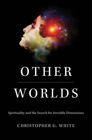 Cover of the book Other Worlds by Venkatesh Narayanamurti