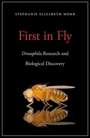 Cover of the book First in Fly by Sarah Kinkel