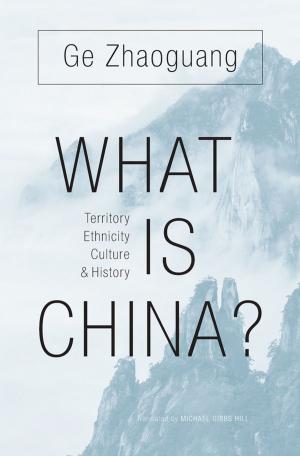 bigCover of the book What Is China? by 