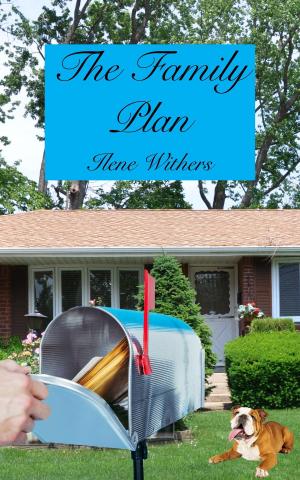 Book cover of The Family Plan