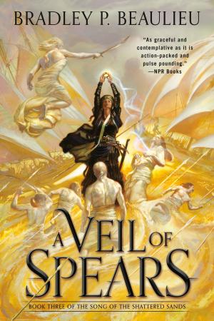 bigCover of the book A Veil of Spears by 