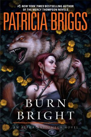 Cover of the book Burn Bright by Carol Matas, Perry Nodelman