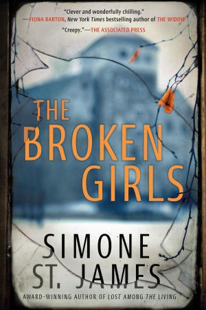 Cover of the book The Broken Girls by Jake Logan