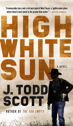 Book cover of High White Sun