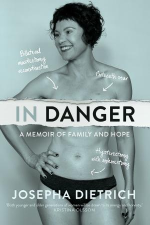 Cover of the book In Danger by Elizabeth Fensham