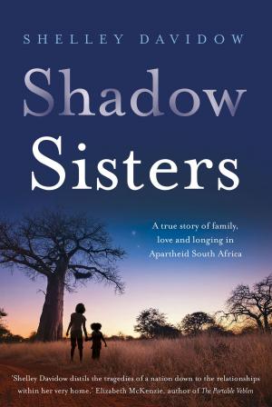 Book cover of Shadow Sisters