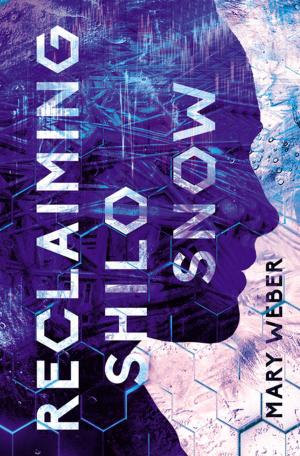 Cover of the book Reclaiming Shilo Snow by Gary Alan Ruse